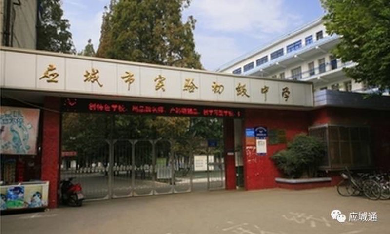 合肥初中教育动态:探索教育创新的路径